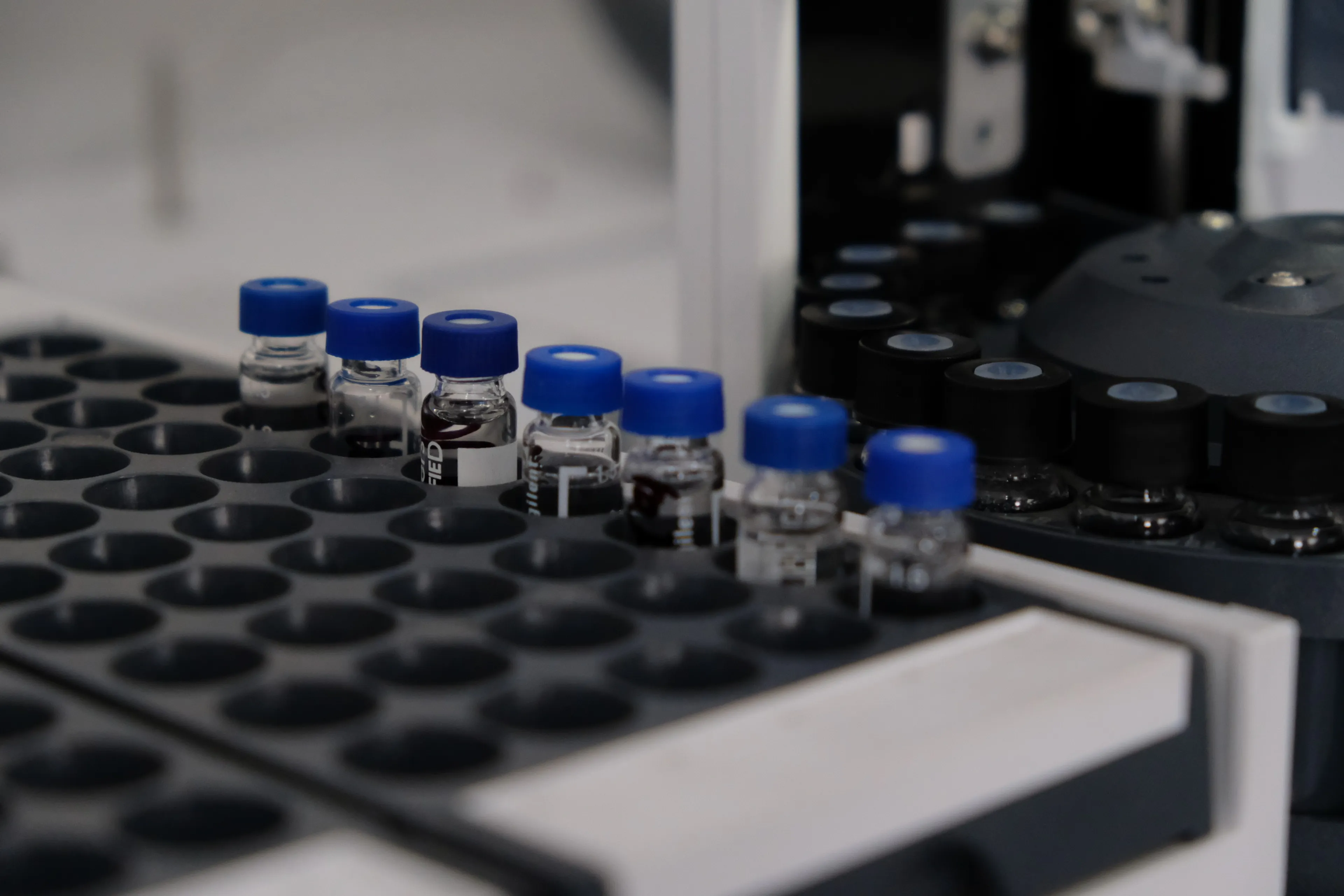 Фото: Владимир Третьяков