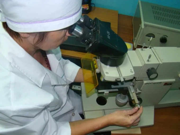 Капитал - Ветеринарные организации оштрафованы на 13 млн тенге