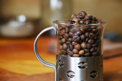 Фото: Руслан Пряников