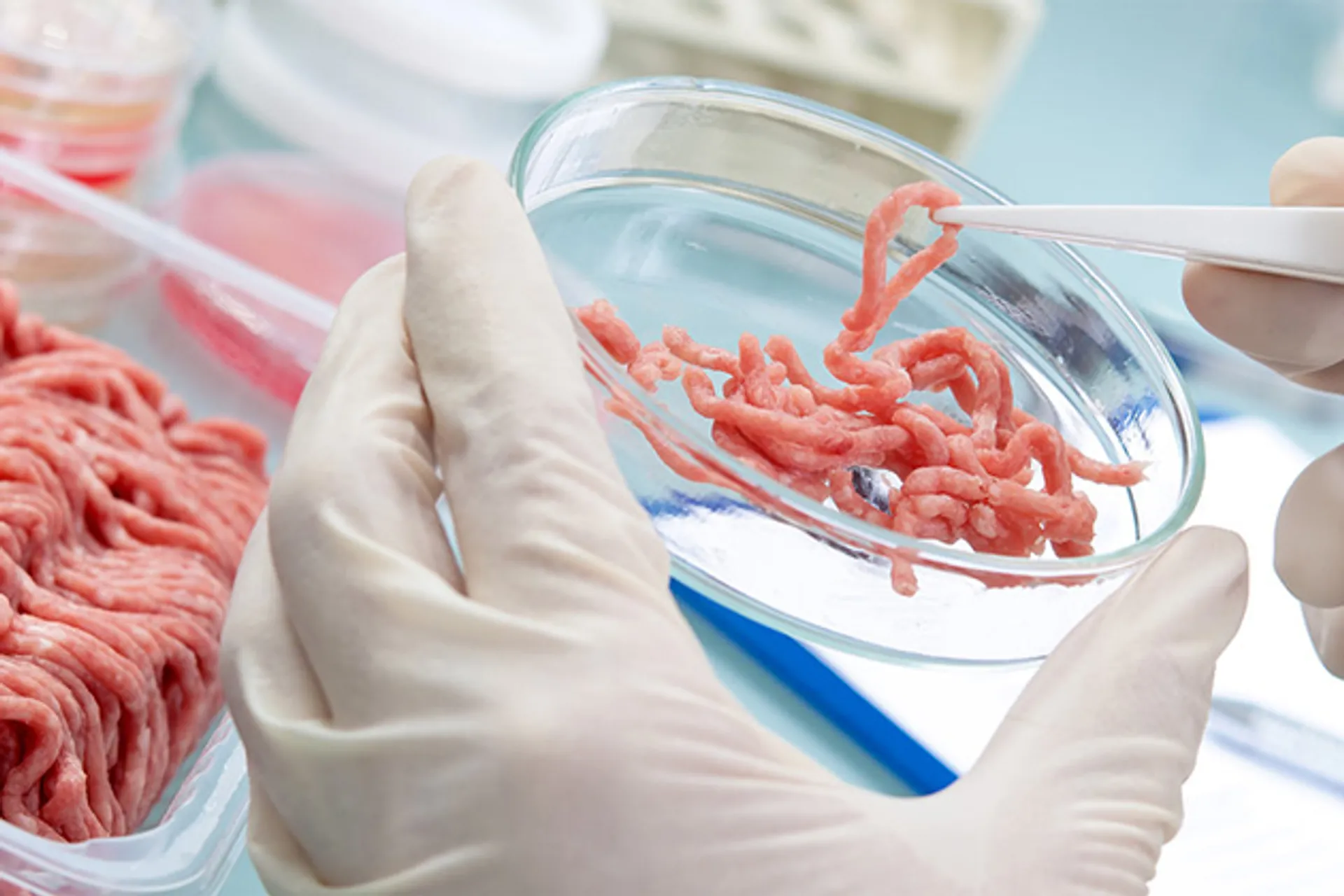 Капитал - Искусственное мясо: возможно, самое перспективное IPO 2019 года