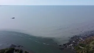 Фото: Министерство водных ресурсов и ирригации РК 