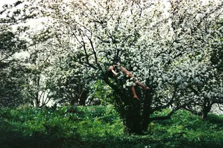 Капитал - Престиж ценой в 200 евро