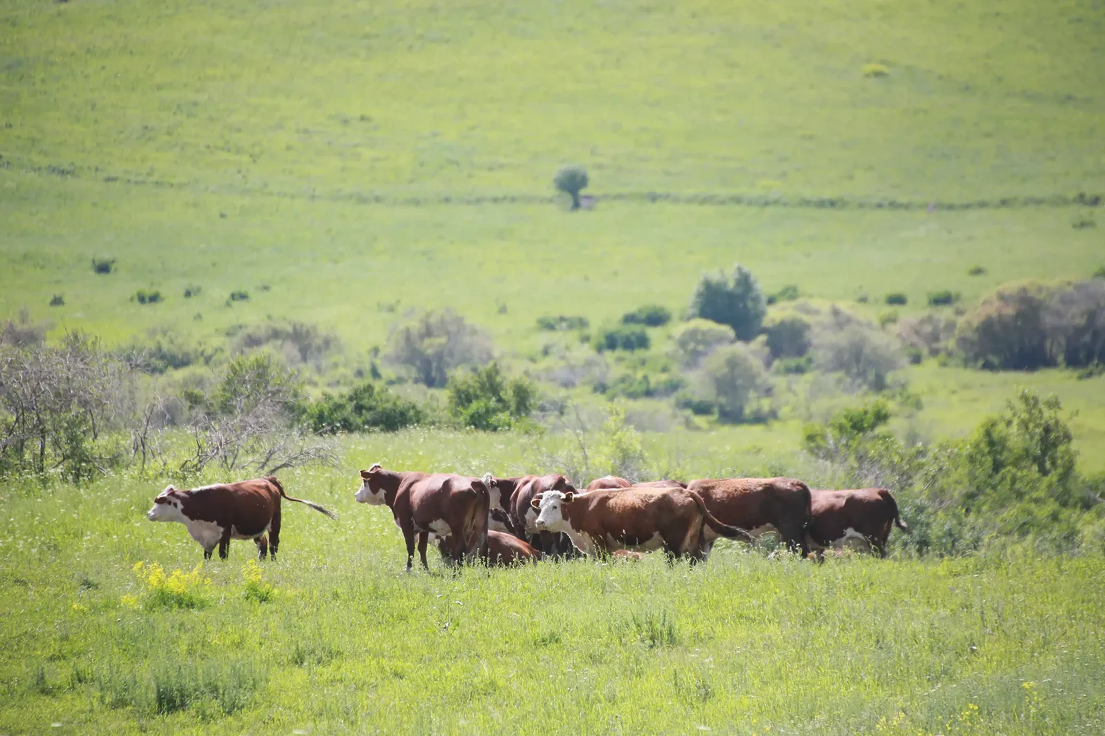Фото: Руслан Пряников