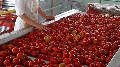 Израильский фонд намерен инвестировать в агробизнес РК $1 млрд