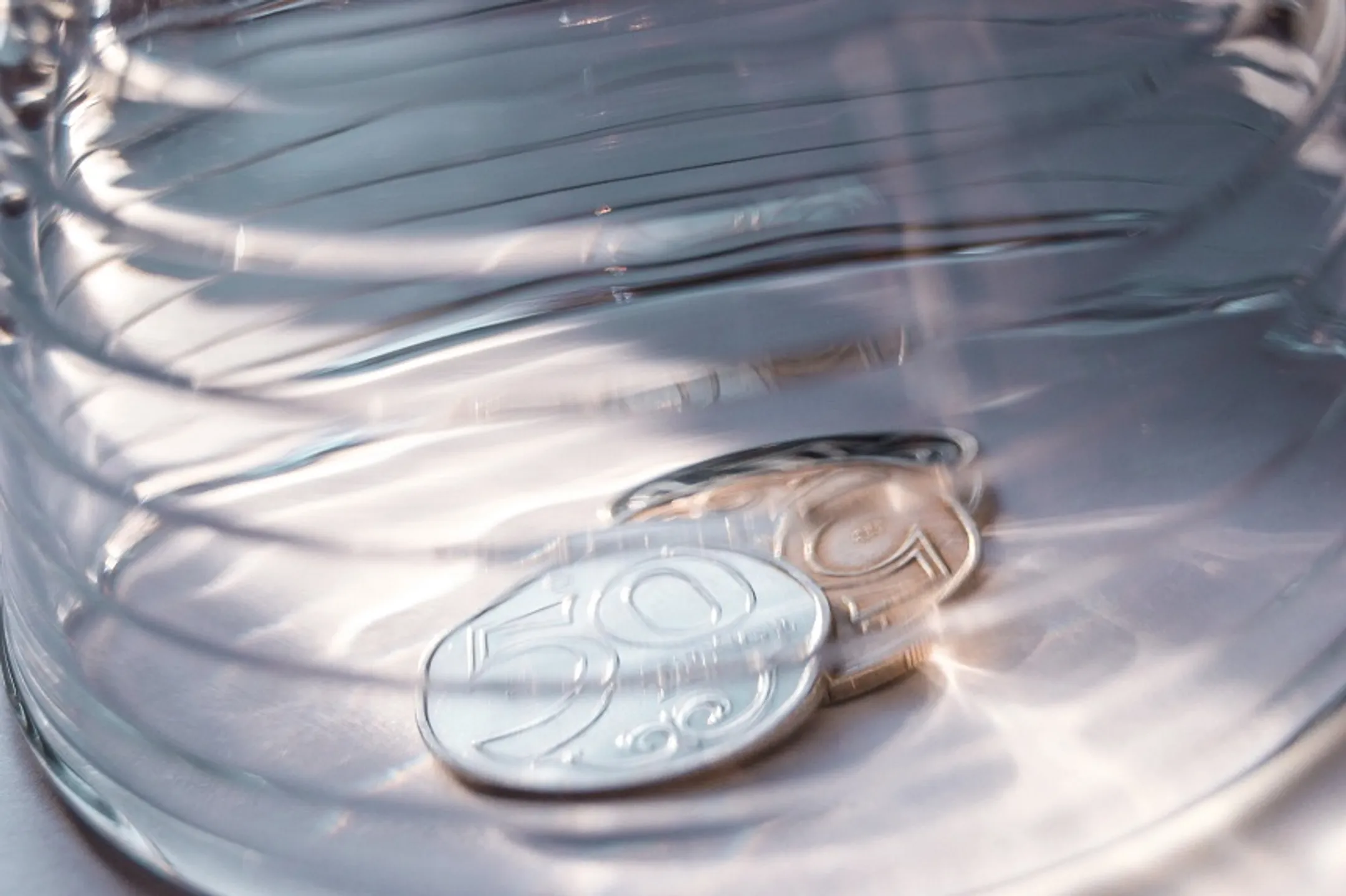 Фото: Валерия Змейкова