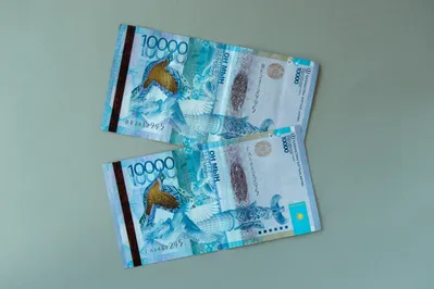 Фото: Валерия Змейкова