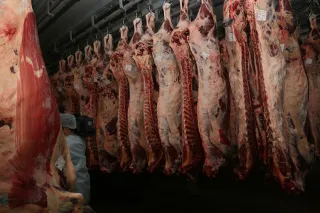 Капитал - Замороженную говядину начали экспортировать из Актобе в Китай