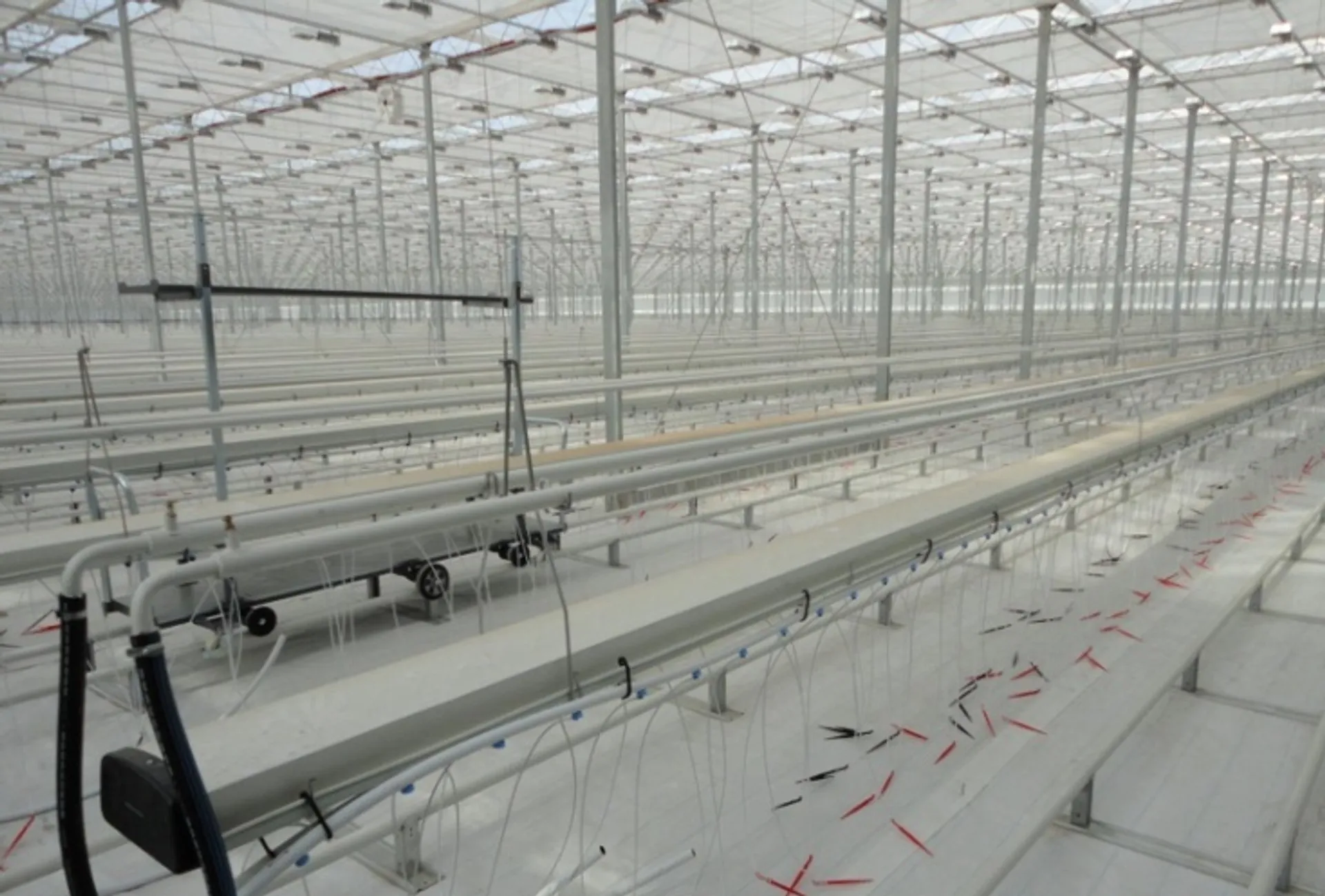 Капитал - Новейшая теплица заработала в Капшагае