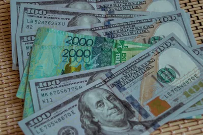 Фото: Валерия Змейкова