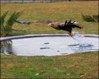 3 интересных места для этнотуризма в Казахстане