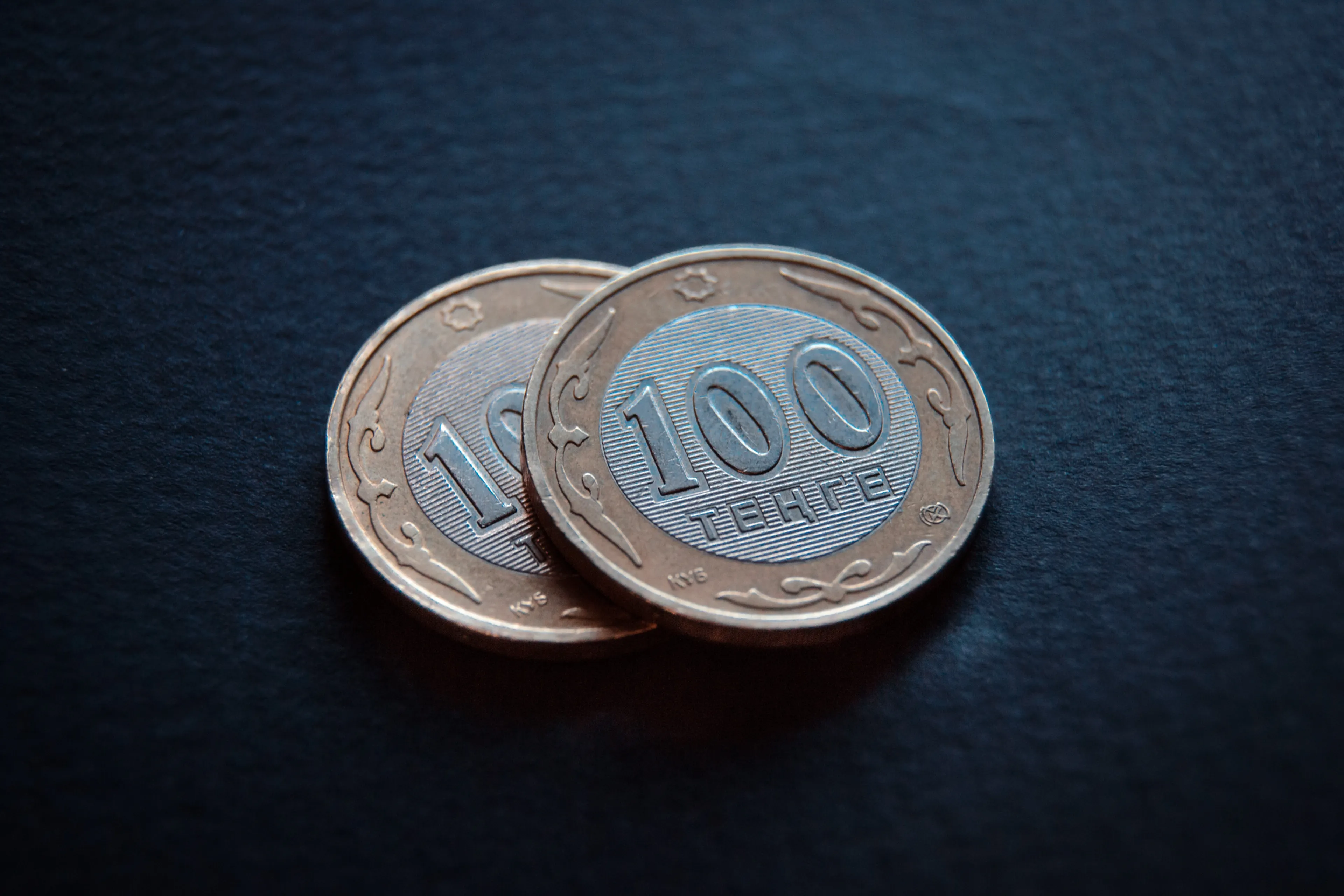 Фото: Валерия Змейкова