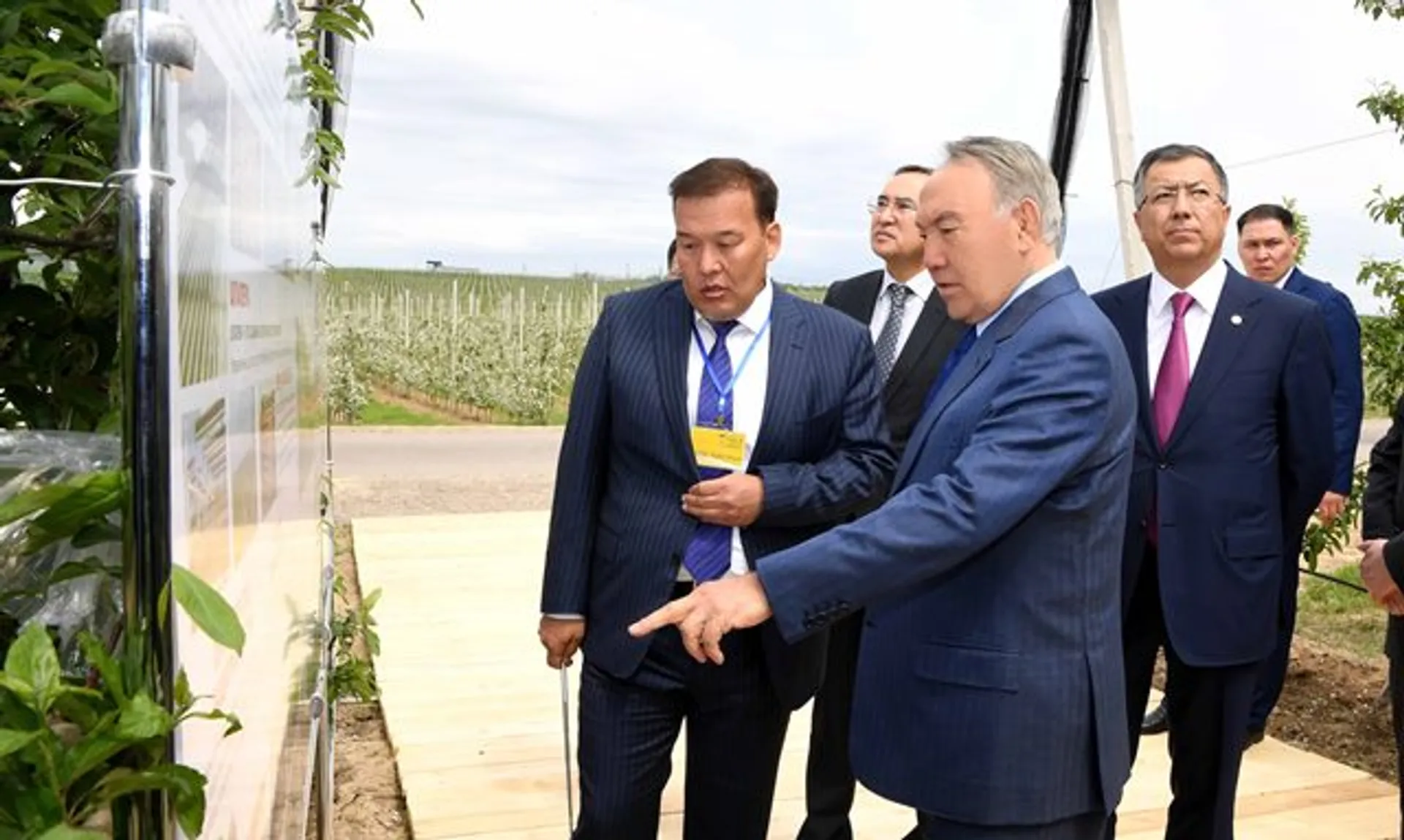 Капитал - Нурсултану Назарбаеву продемонстрировали выставку сельхозпродукции