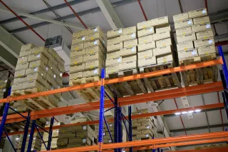 Фото: Руслан Пряников