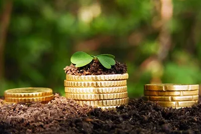 Земельная доля