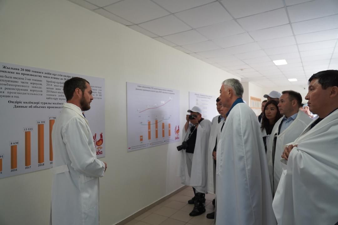 Завод по глубокой переработке яйца намерен построить сын бывшего министра по ЧС - Kapital.kz