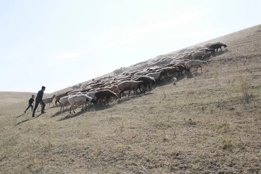 Фото: Руслан Пряников