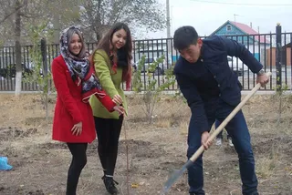 Капитал - В Актобе посадили яблоневый сад