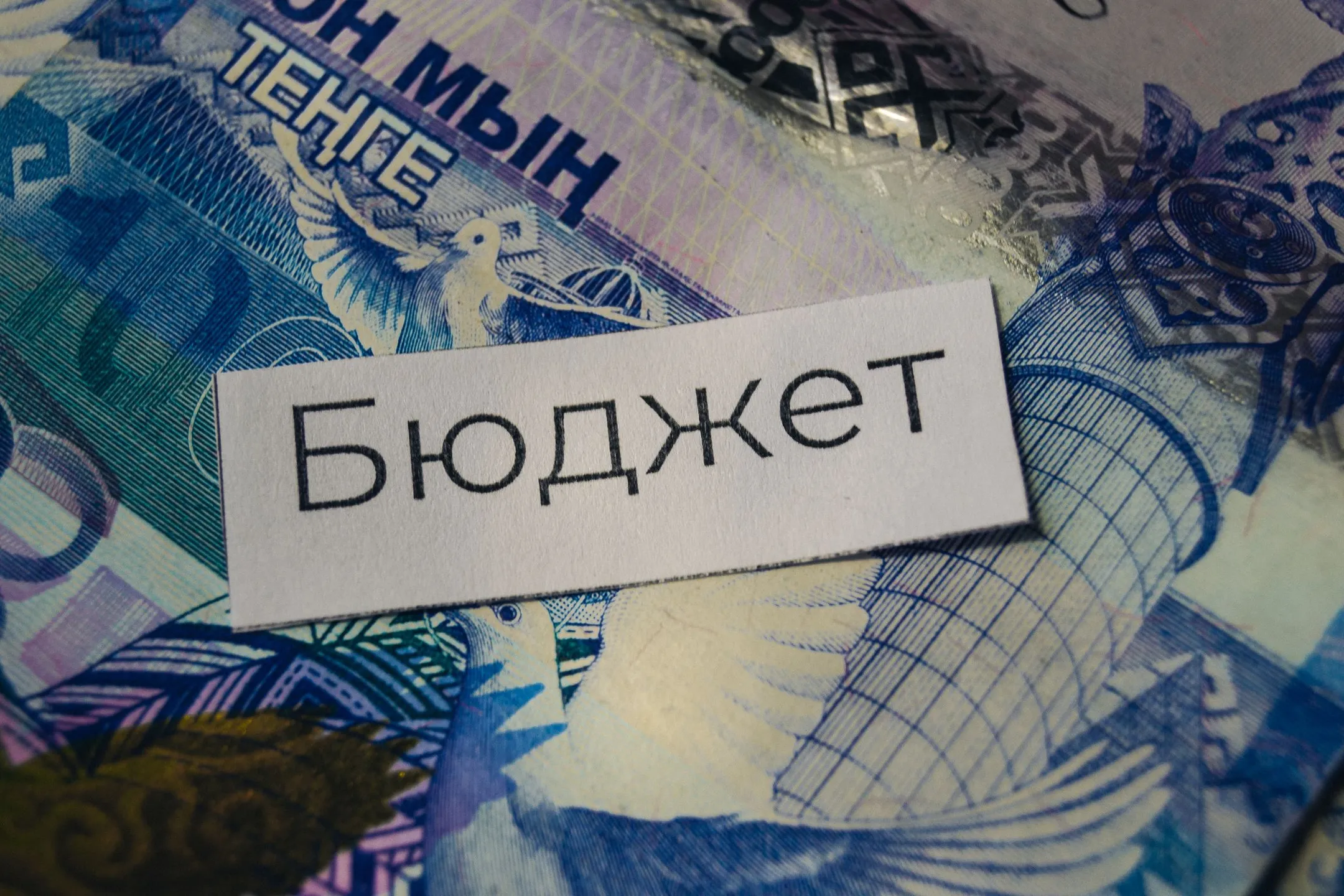 Фото: Валерия Змейкова