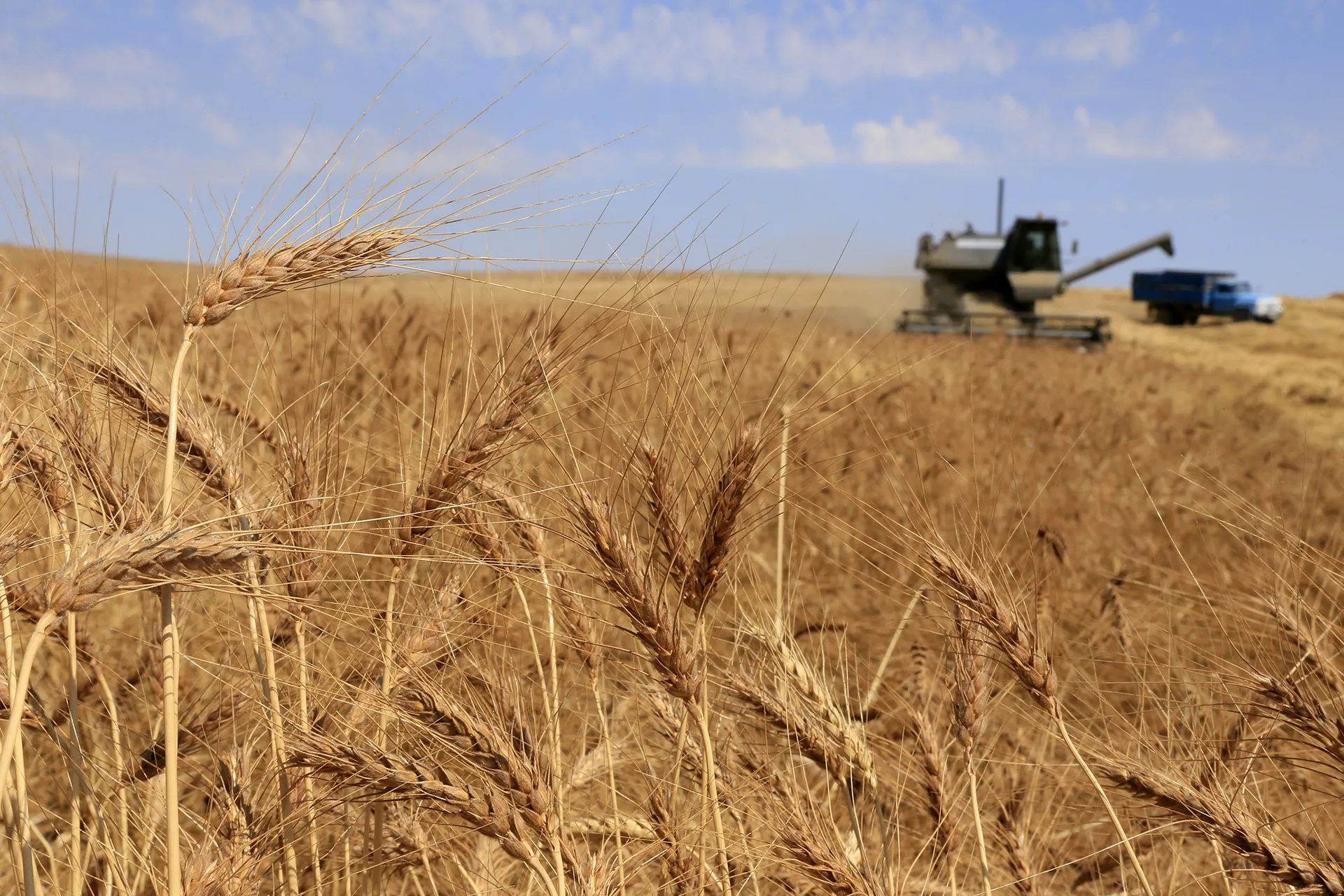 фото: Руслан Пряников