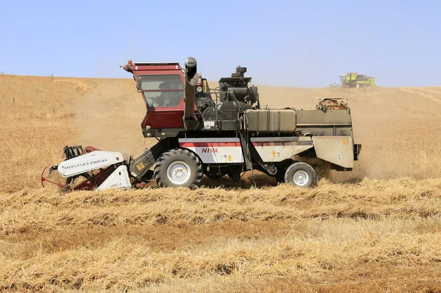 Фото: Руслан Пряников
