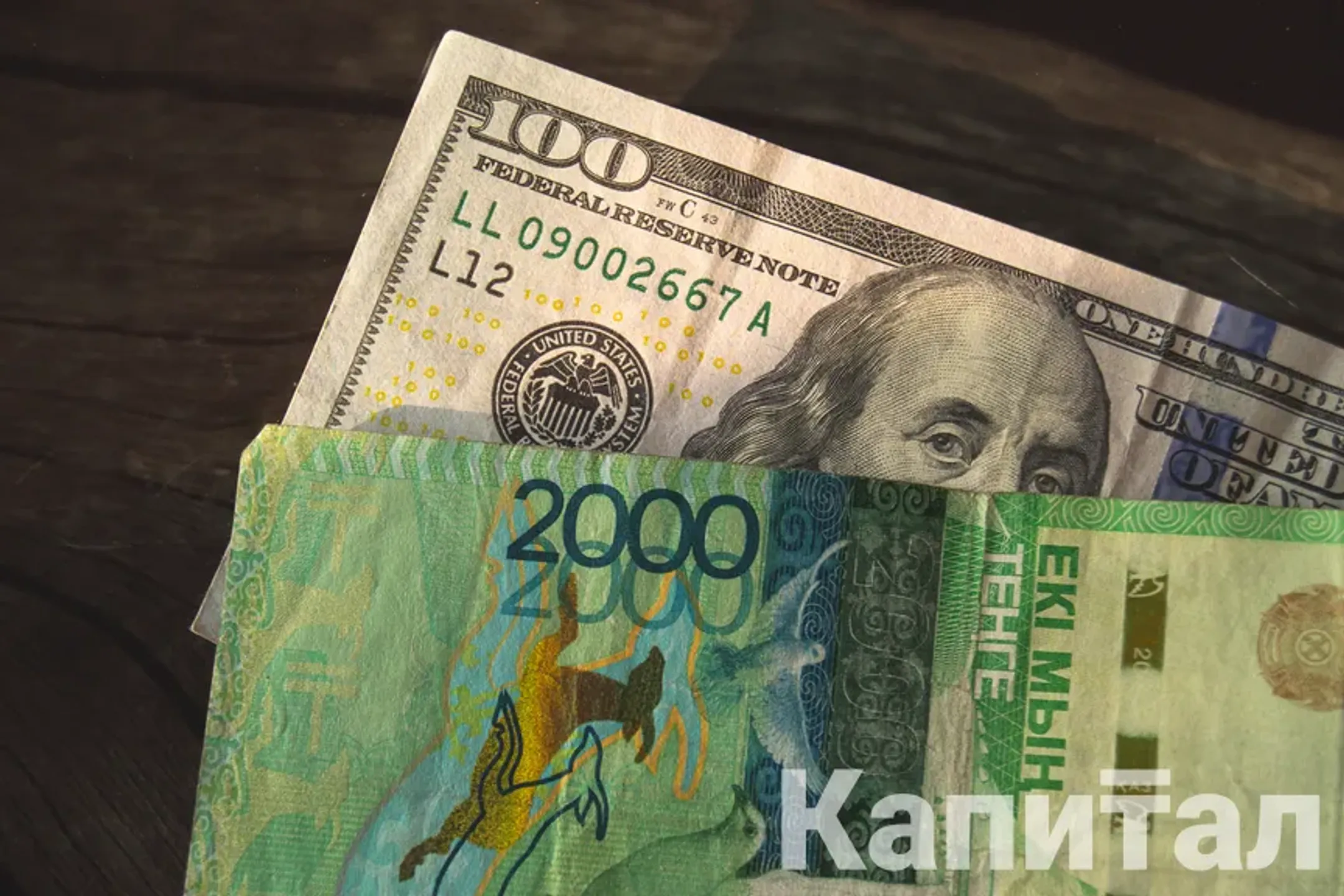 Фото: Валерия Змейкова