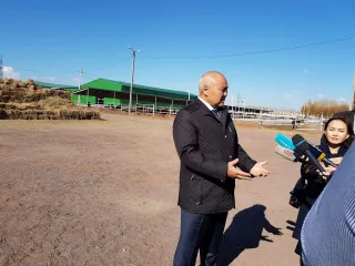 Капитал - С начала года на экспорт отправили более 10,5 тысячи тонн говядины