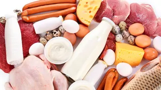 Капитал - Казахстан обсуждает экспорт продукции животноводства в Израиль