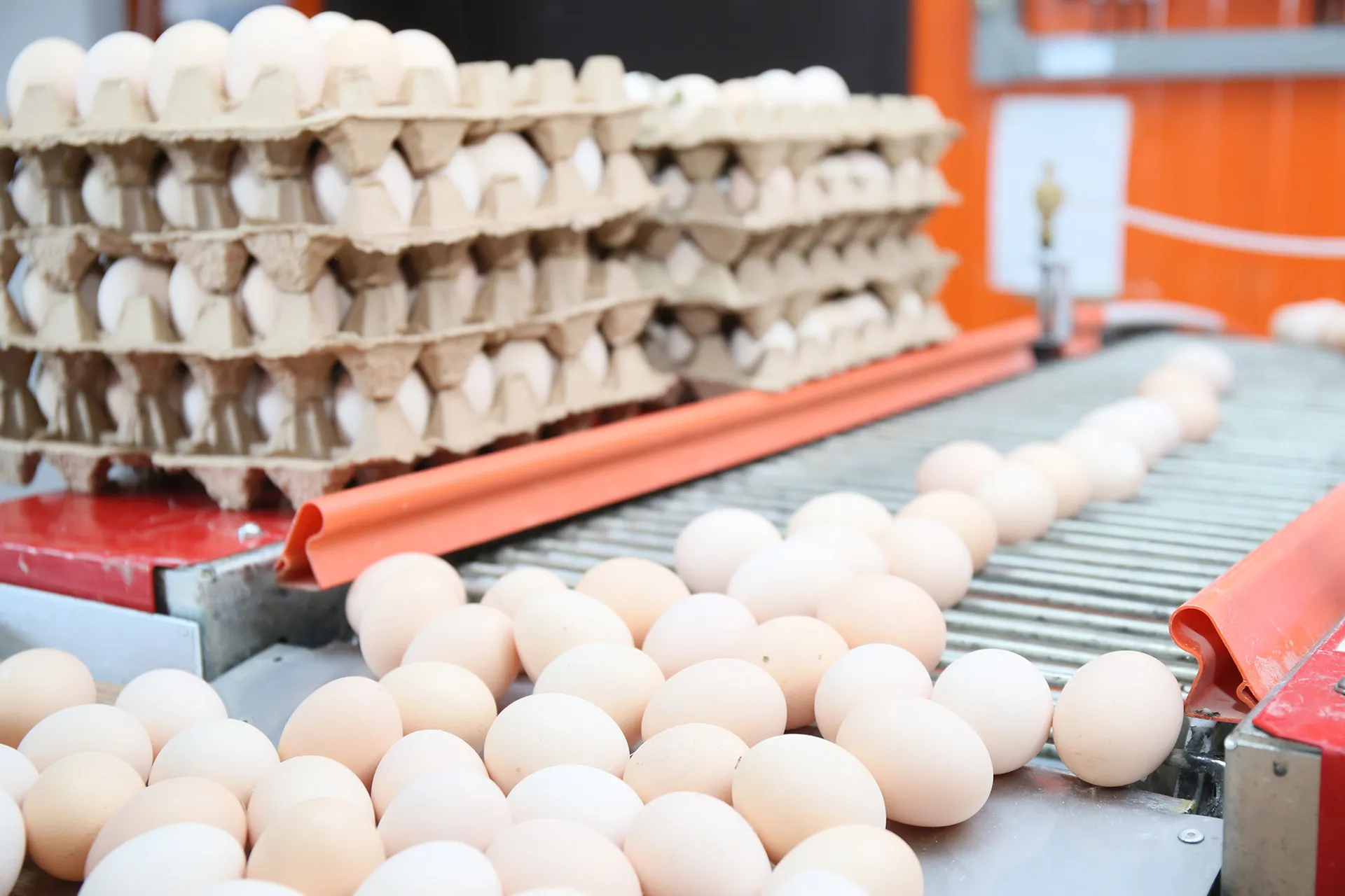 Фото: Руслан Пряников