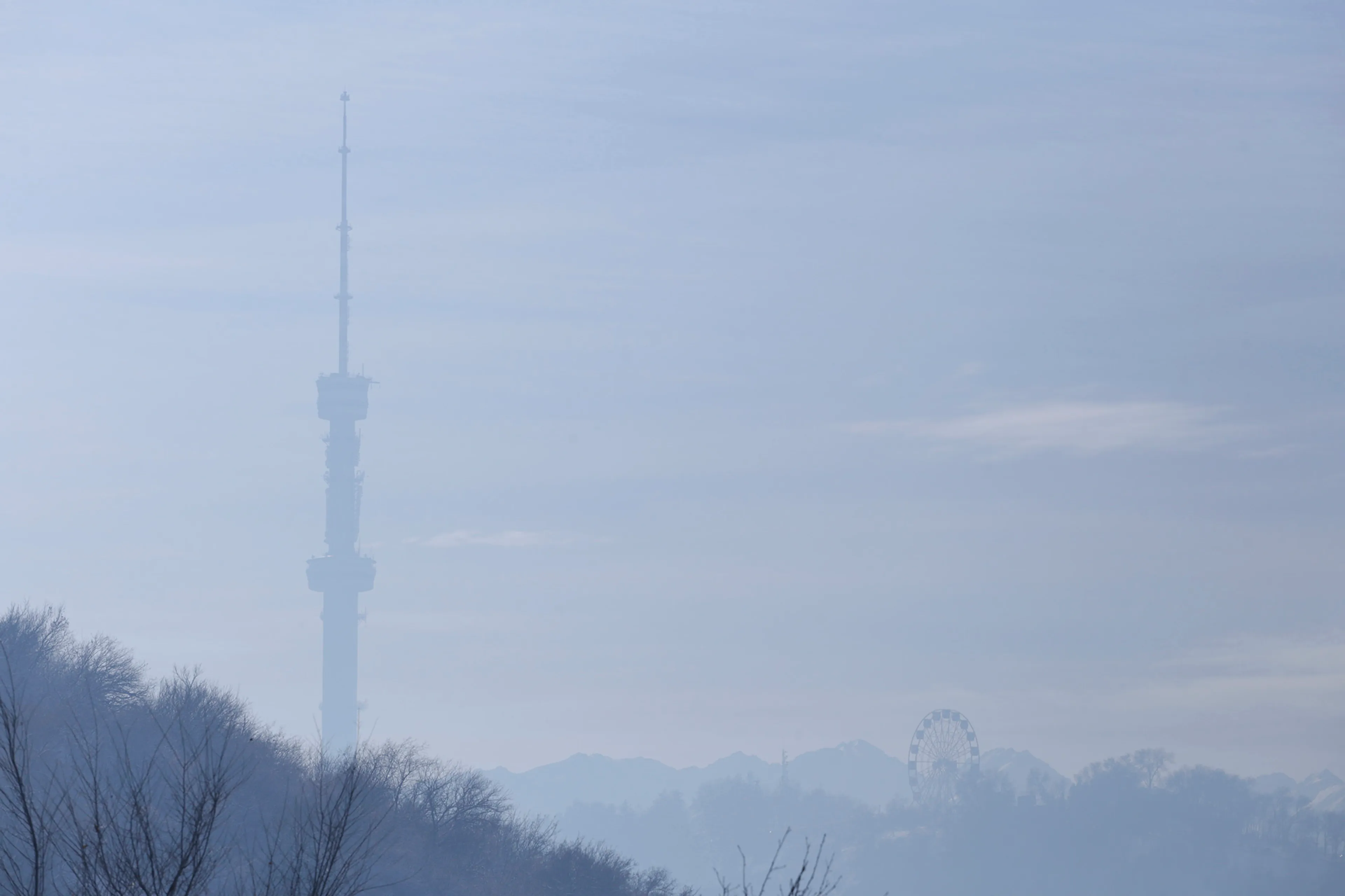 Фото: Руслан Пряников