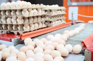 Фото: Руслан Пряников