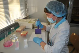 Капитал - В селах опять появятся государственные ветврачи