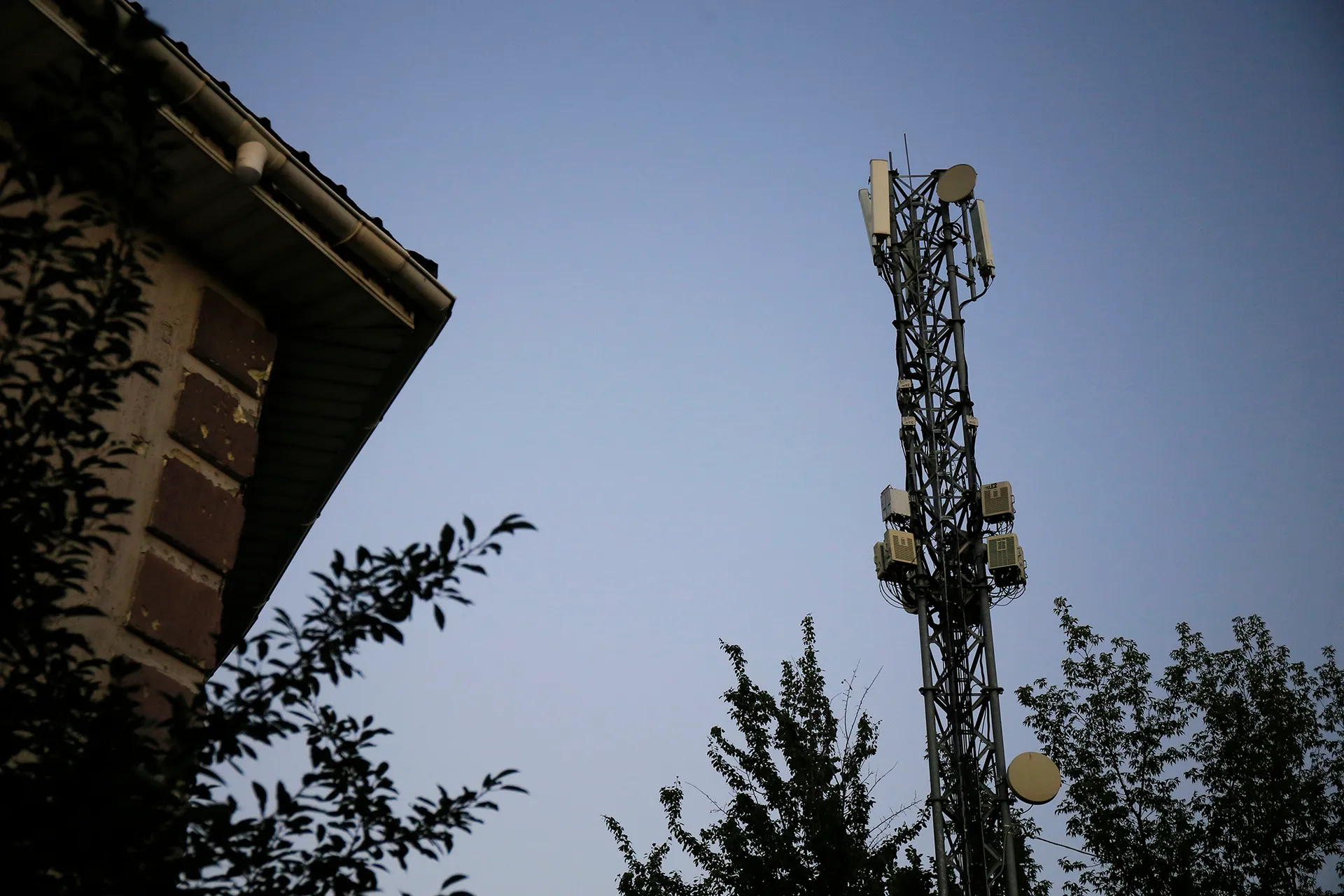 Фото: Руслан Пряников