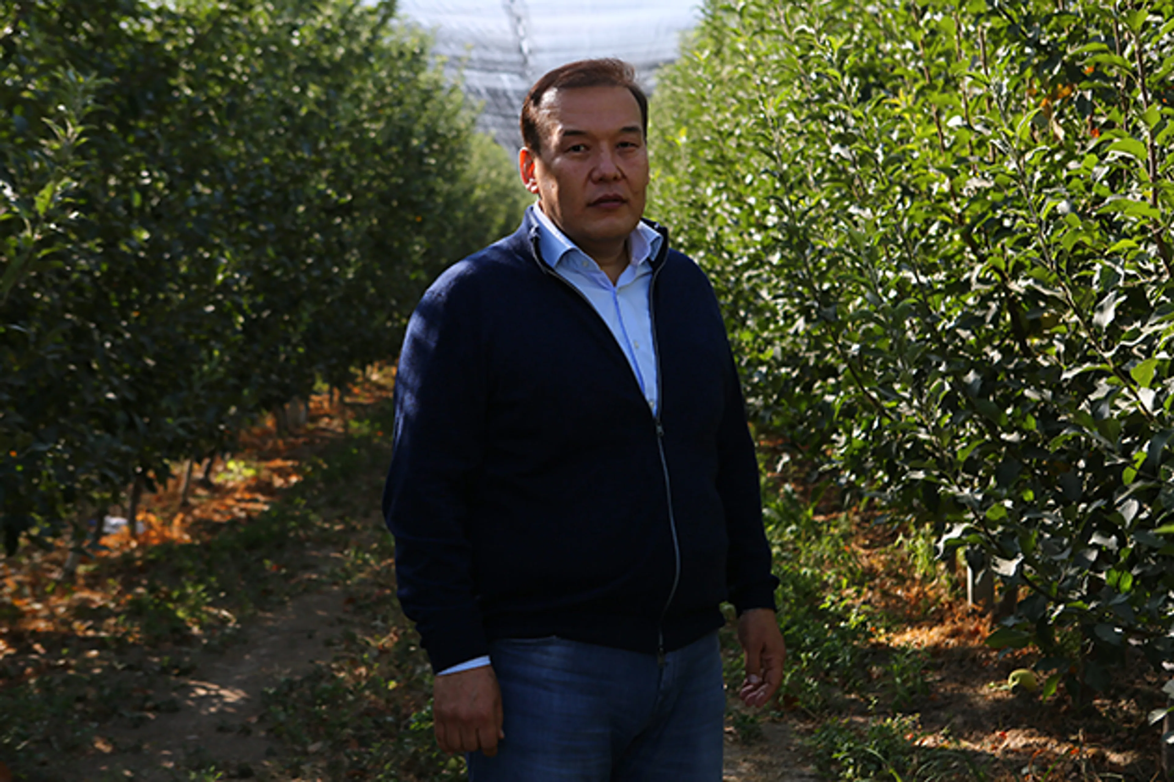 Капитал - Яблочный бизнес: Как реализовать передовой проект