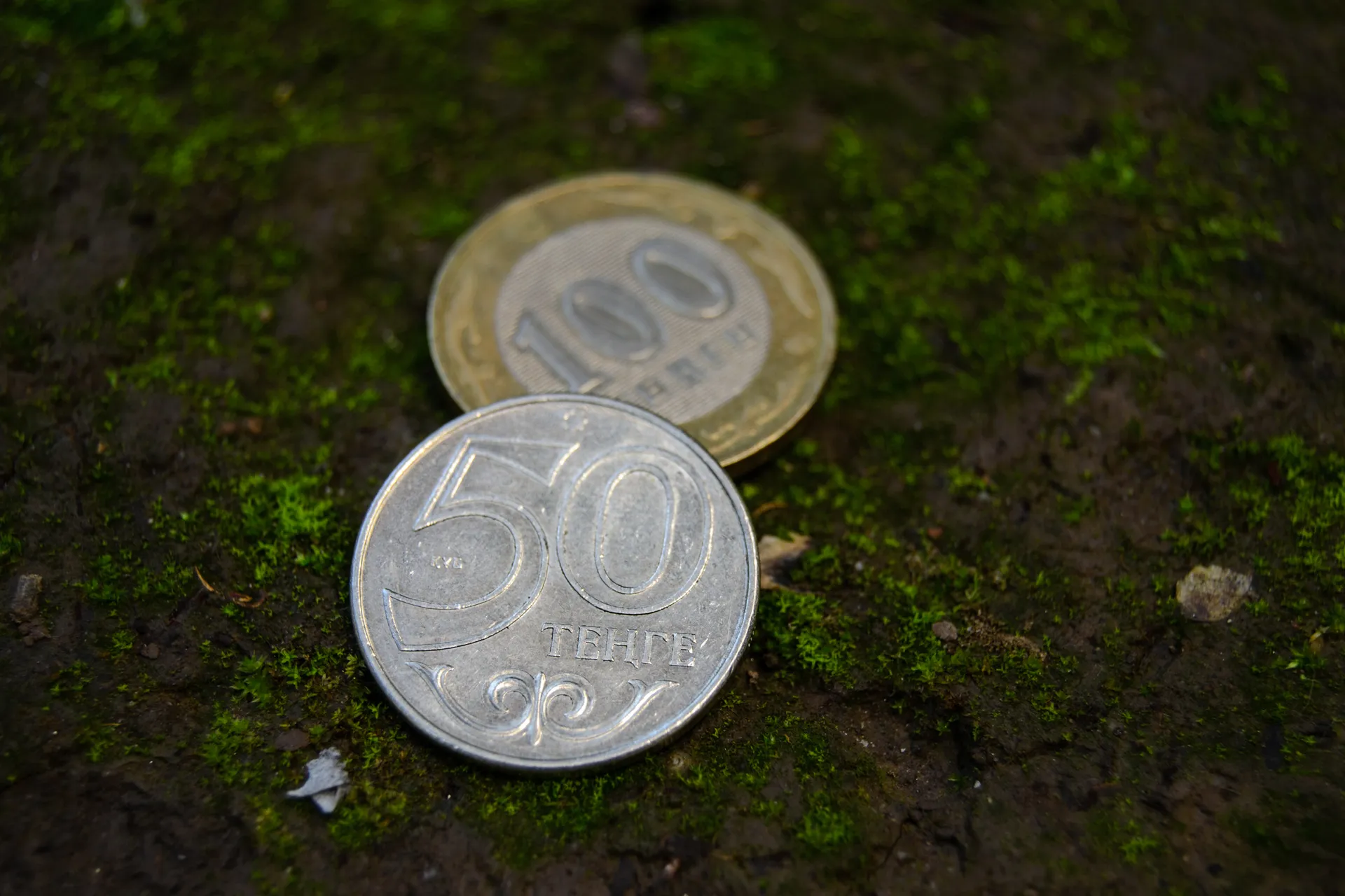 Капитал - Тимур Кулибаев рассказал о потенциале земельных аукционов