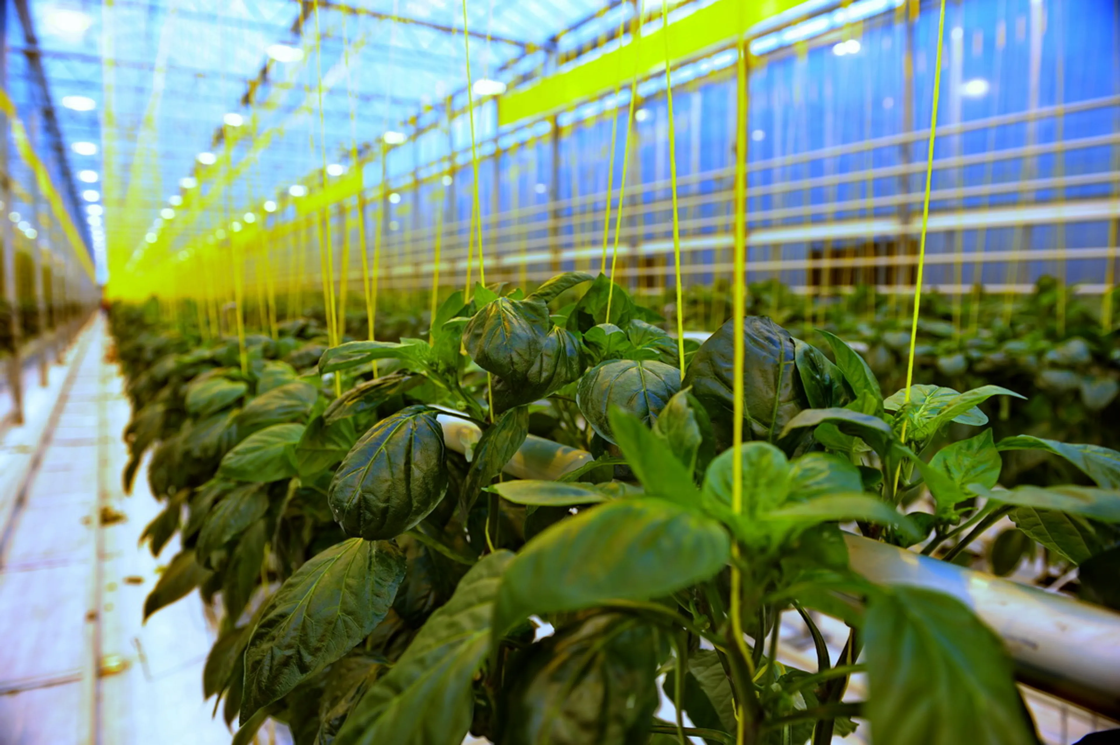 Фото: Владимир Третьяков 