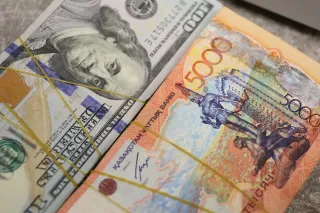 Фото: Валерия Змейкова