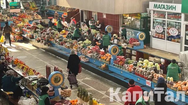 Фото: Валерия Змейкова