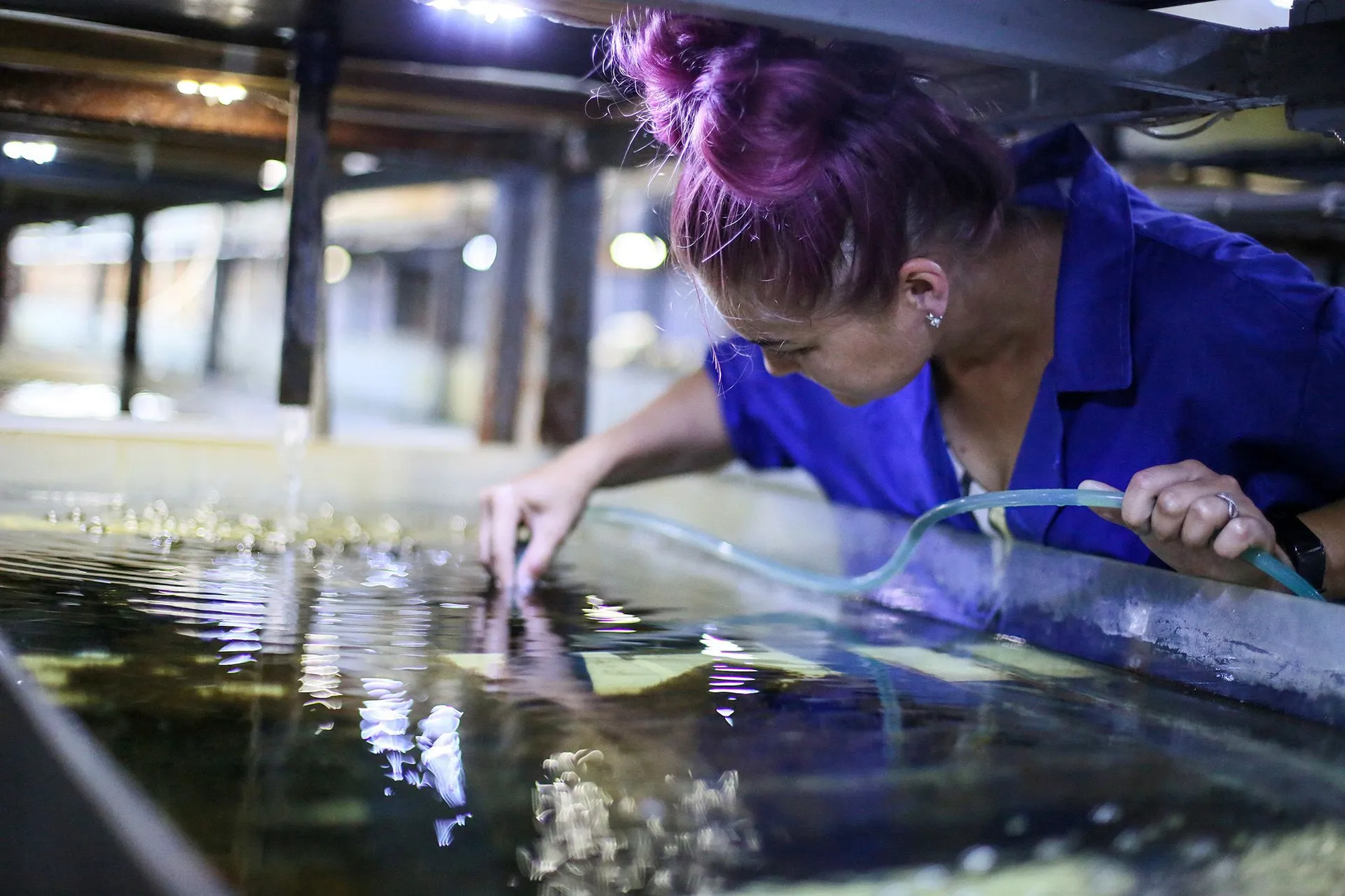 Фото: Руслан Пряников, архив