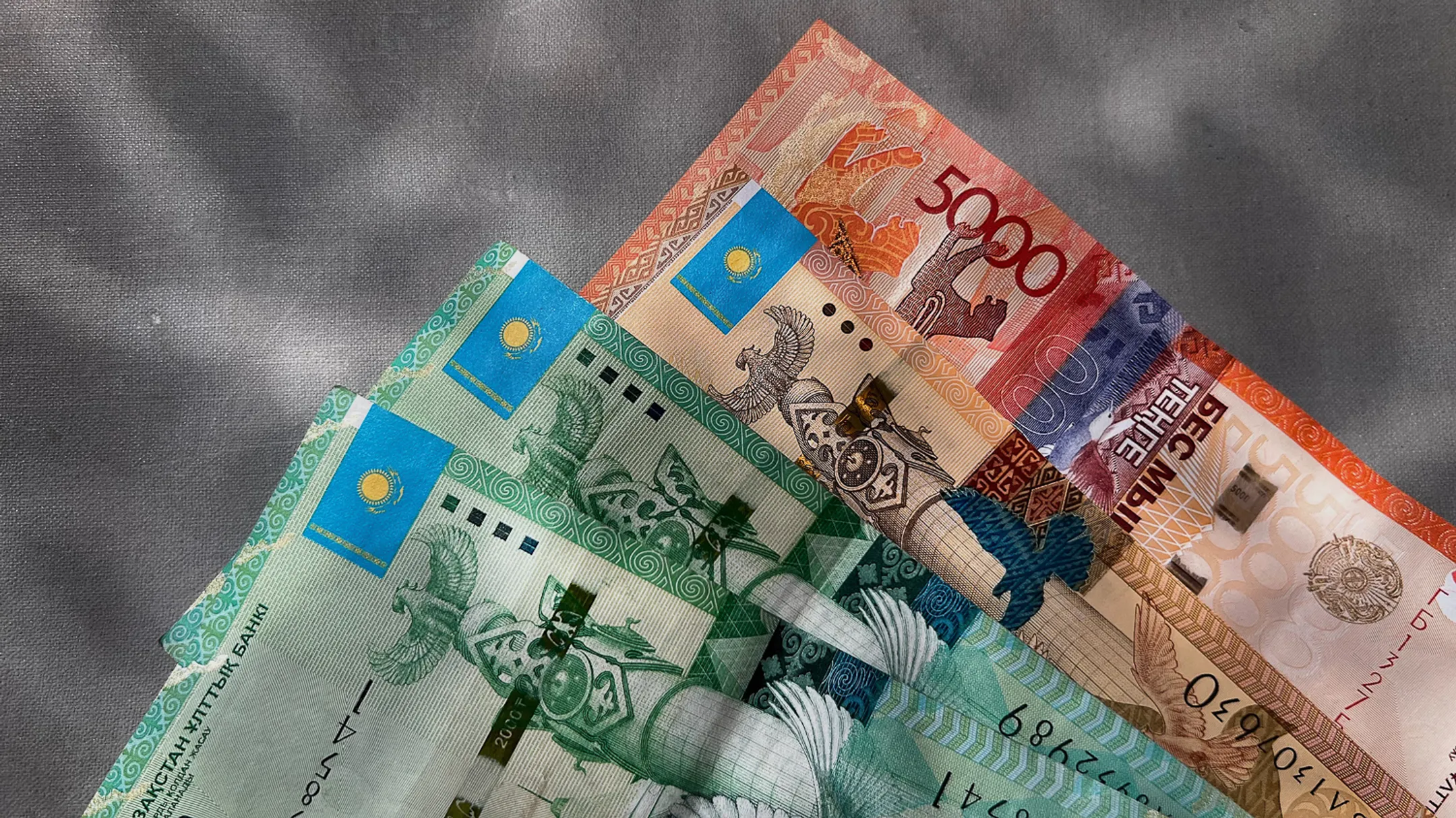 Фото: Валерия Змейкова