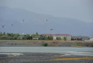 Капитал - На Алаколе планируют построить круглогодичный оздоровительный комплекс