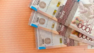 Фото: Валерия Змейкова 