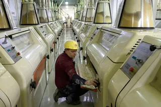 Капитал - Банкротство мельниц прогнозируют в Минсельхозе