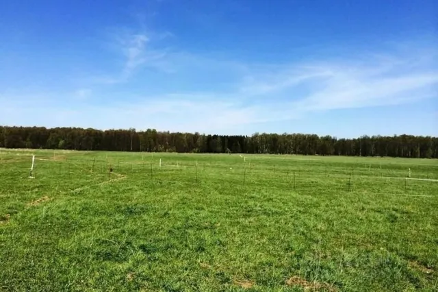 Фото: Прокуратура Жамбылской области