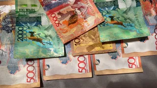 Фото: Валерия Змейкова