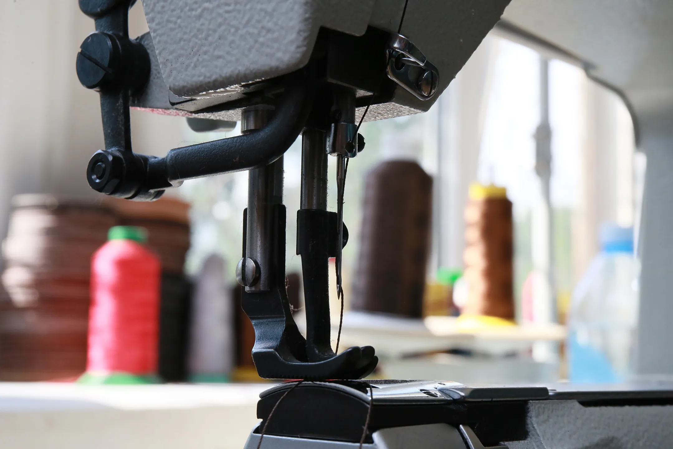 Фото: Руслан Пряников