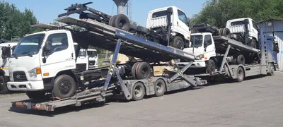 KazakhExport поддержал Hyundai Trans Auto