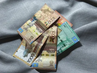 Фото: Валерия Змейкова