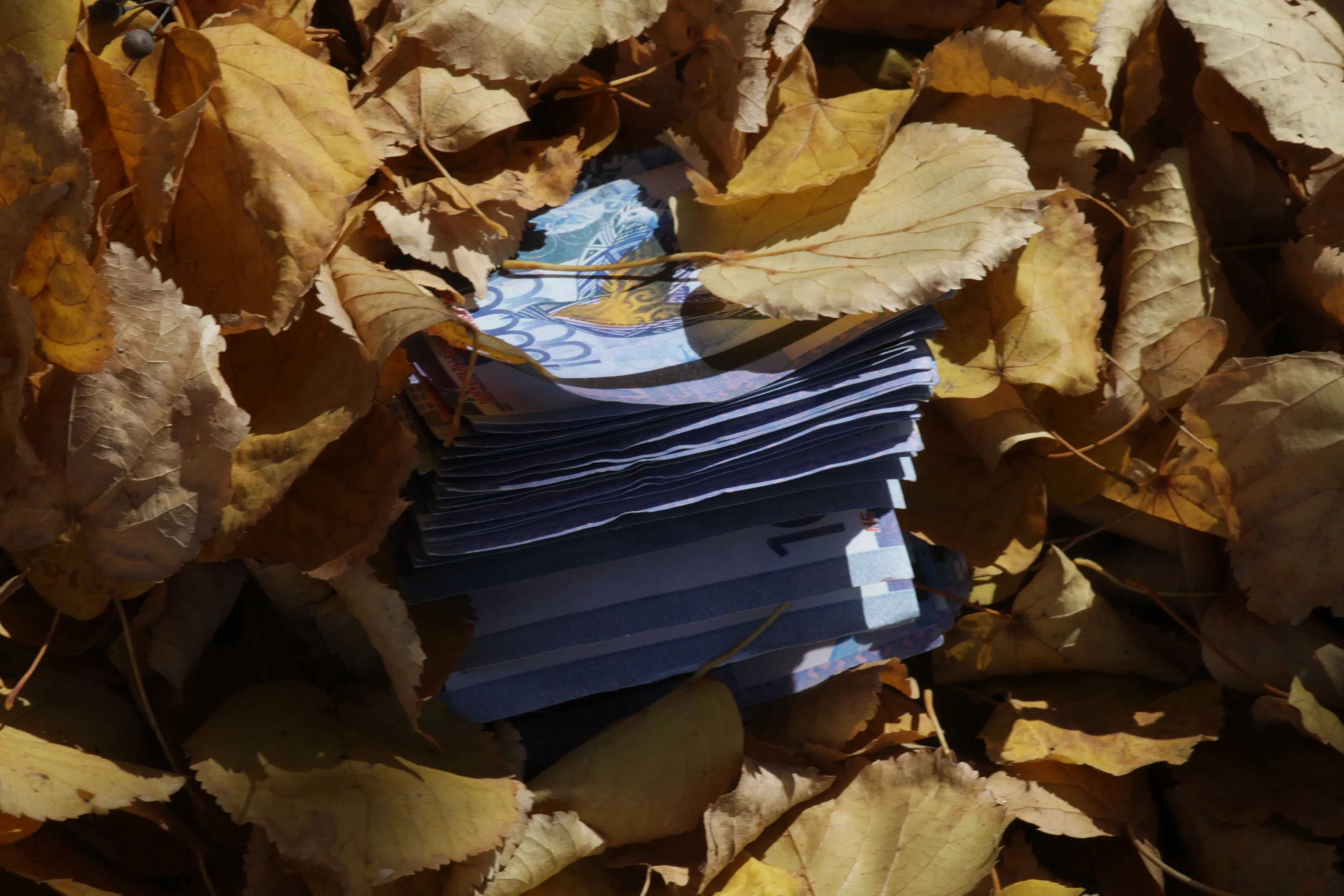 Капитал - Тенге закрыл осенние торги в минусе