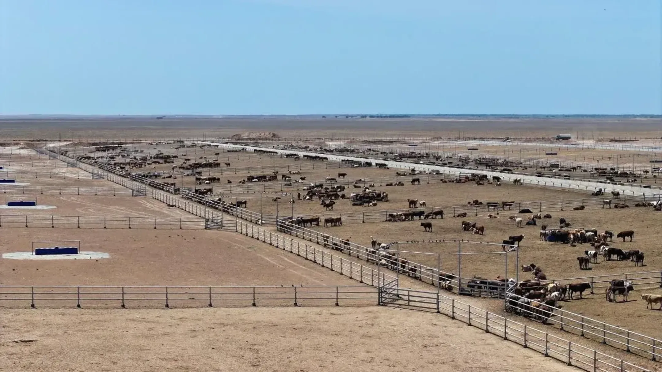 Фото: Түркістан облысы әкімдігінің баспасөз қызметі