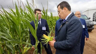 Капитал - Необходимо создать «зеленый пояс» вокруг Павлодара - премьер